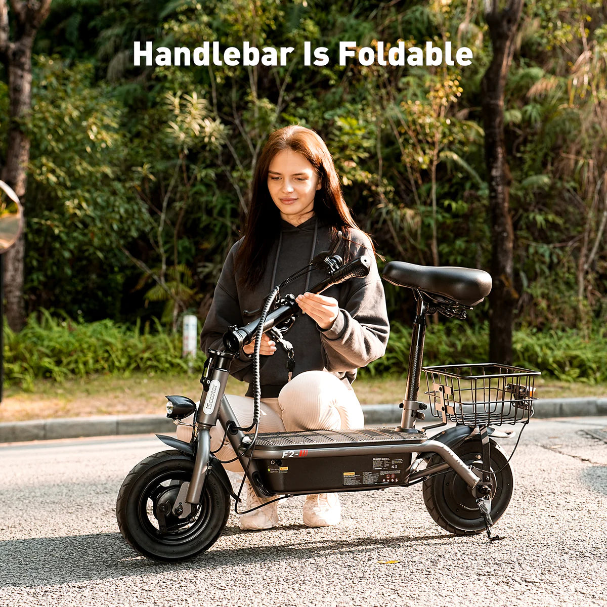 iScooter F2 Electric Scooter with Seat 10" Pneumatic Tire